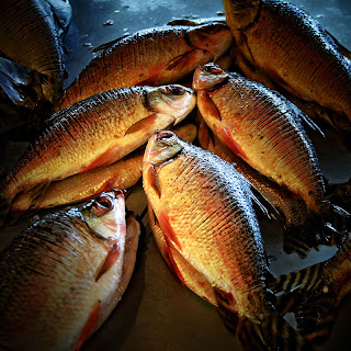 Fish market, Manaus, Brazil