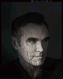 Morrissey