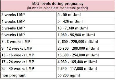 Hcg Pregnancy