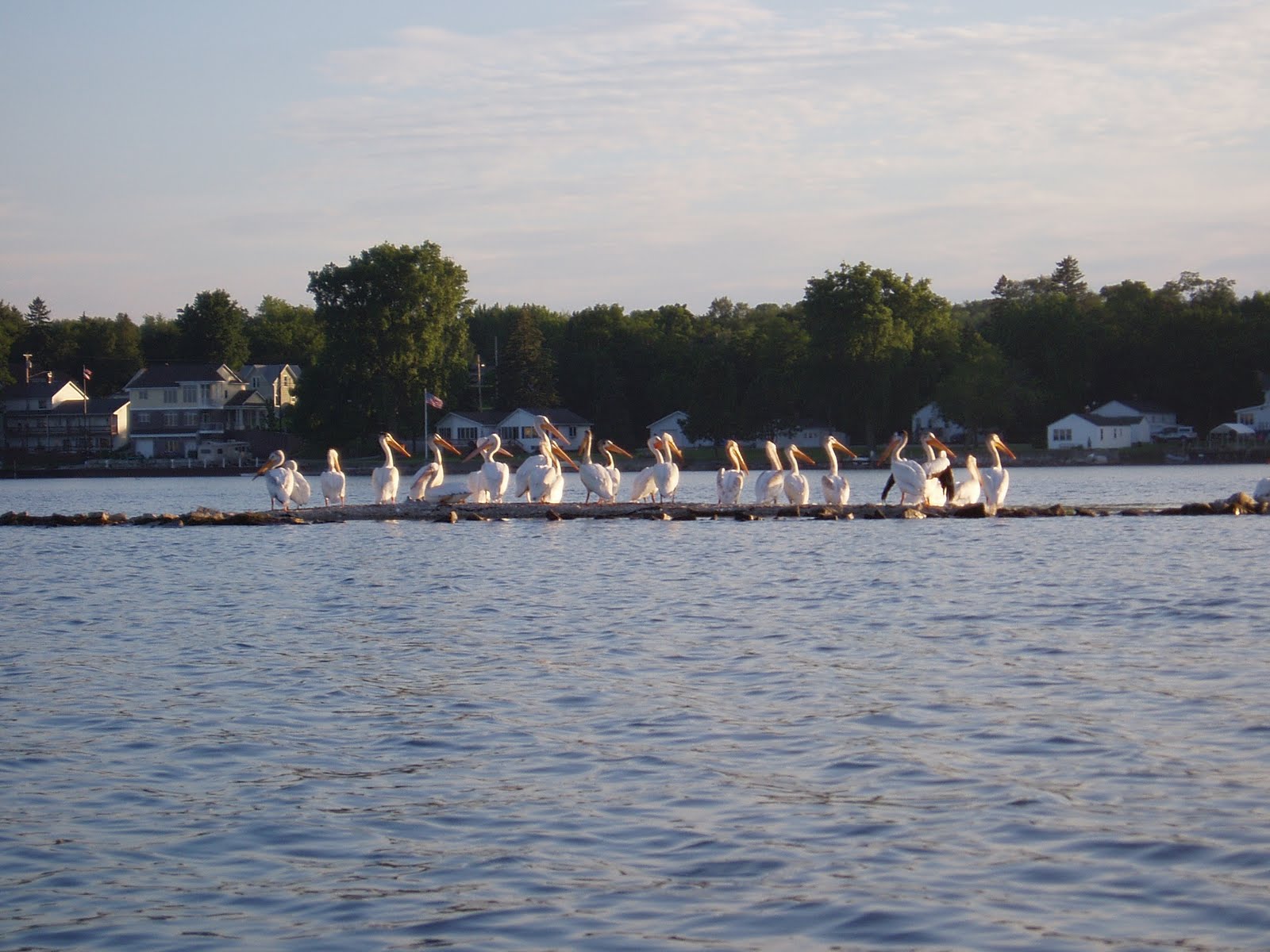 onthewater Sunset Park to Sawyer Harbor