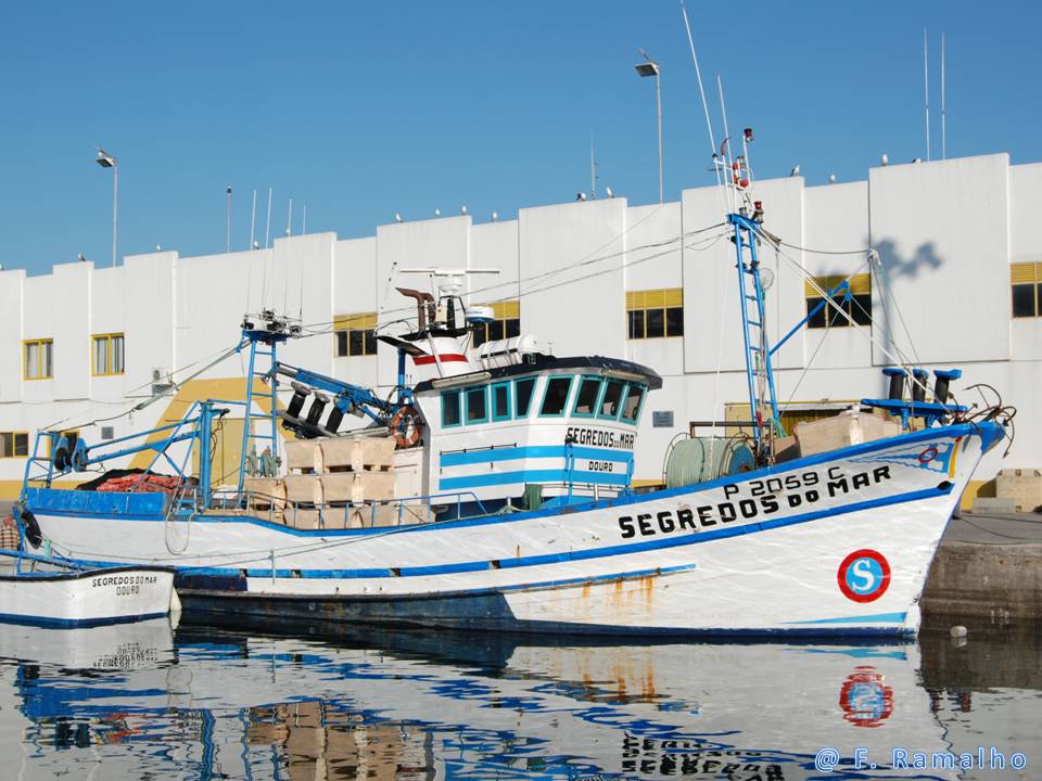 [SEGREDOS+DO+MAR_2_BLOG.JPG]