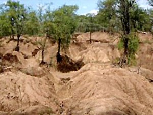 Soil erosion by human activities