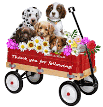 Thank you for following