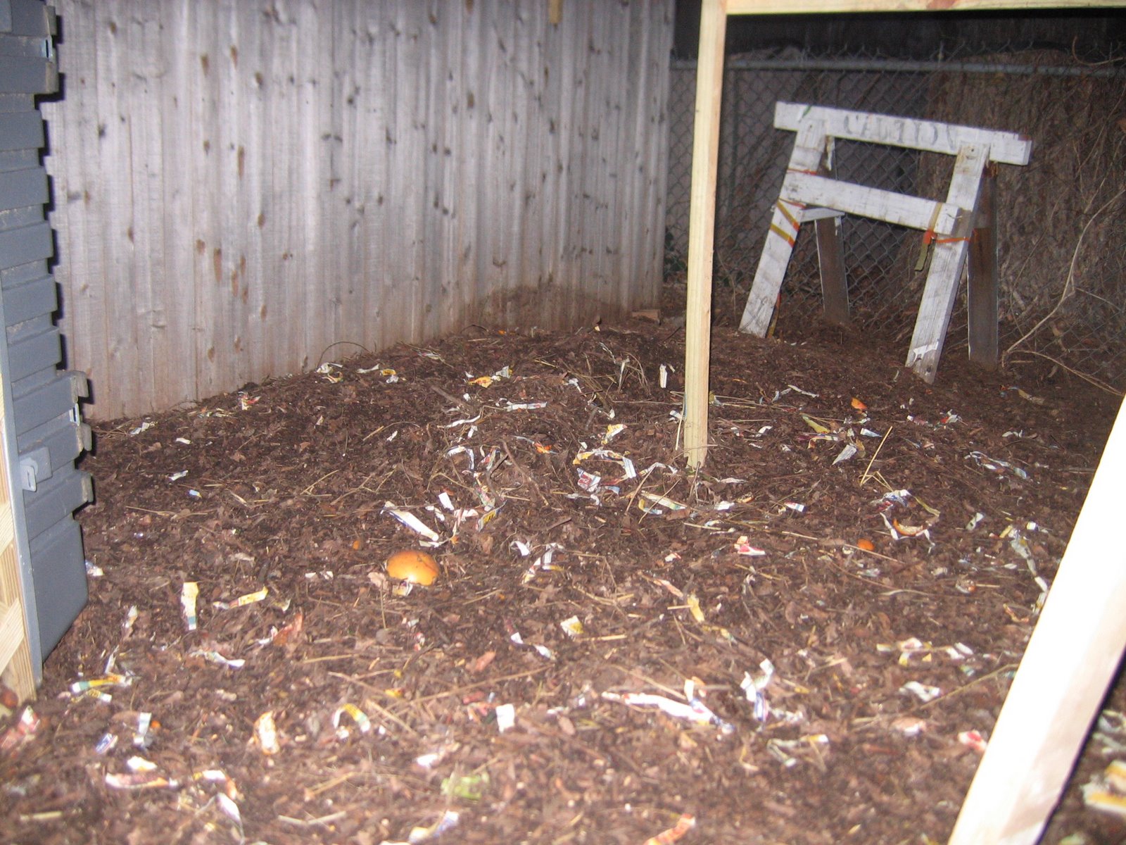 What Pigs Don't Know Deep Litter Method for Chickens