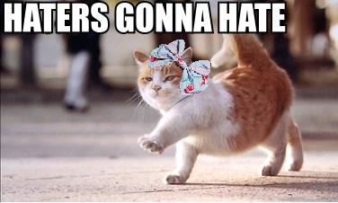 Hey guys...? Haters+gonna+hate
