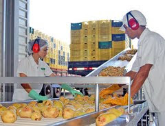 25 PEQ.FABRICAS DE FRUTAS Para Su Negocio Propio c/Apoyo Técnico entregues "llave en mano"