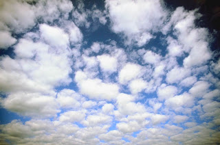 Need of environmental balance