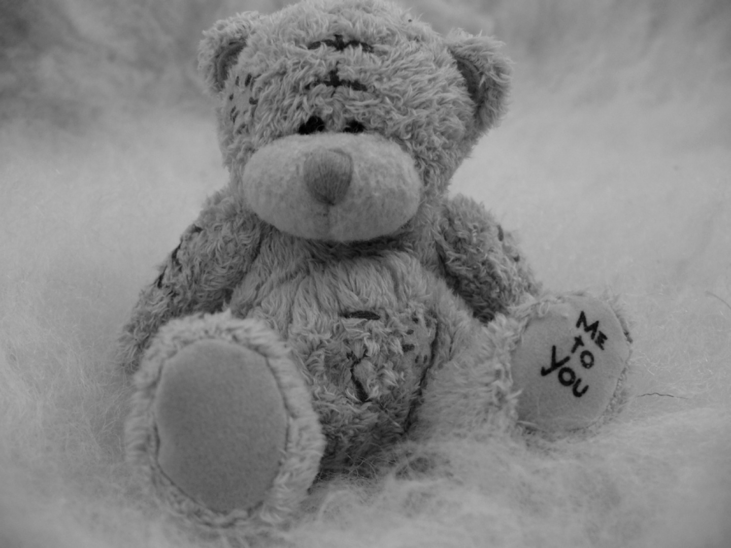 osito de peluche - juguetes - amor - blanco y negro - wallpaper
