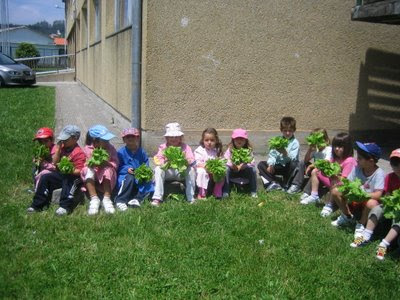 foto de los niños con la lechugas