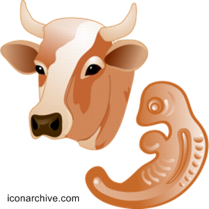 Get Logo Kepala Sapi Kartun Png PNG