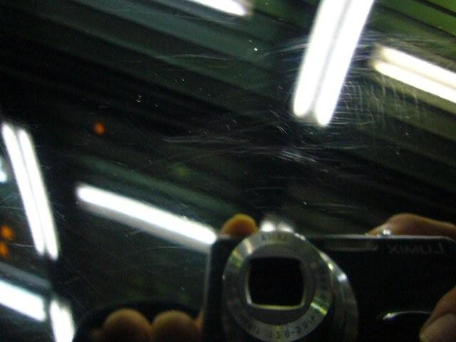 [P1150043.JPG]