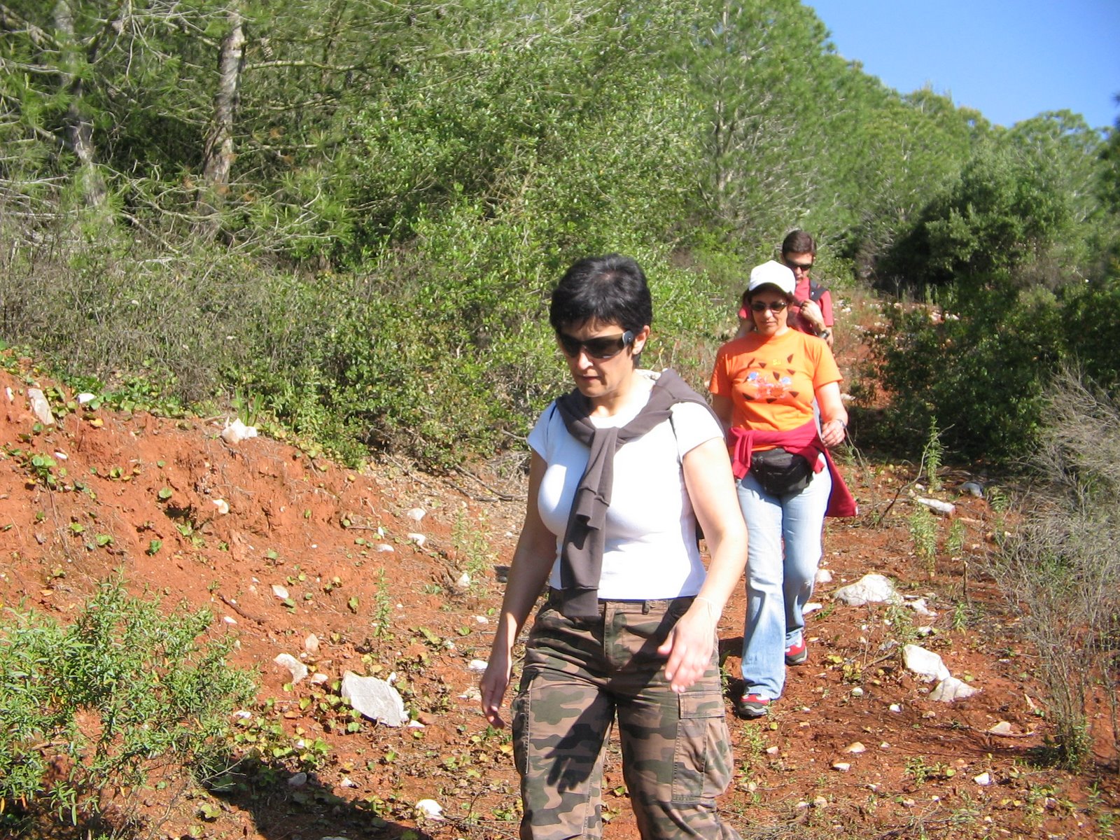 [IMG_3565.JPG]