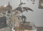 geese mount