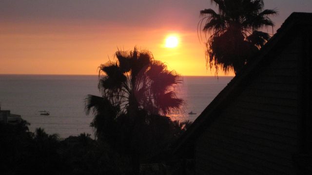 [IMG_2647.jpg]