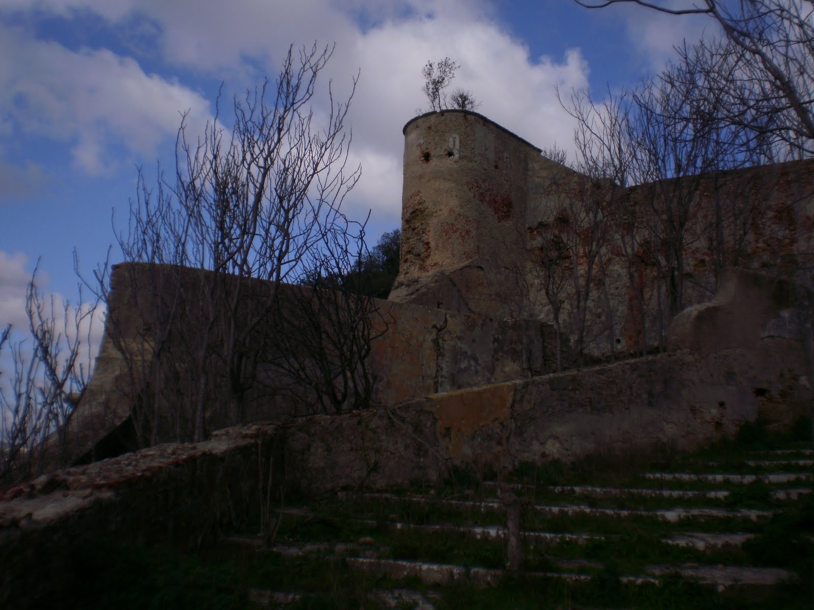 [P1241136.JPG]