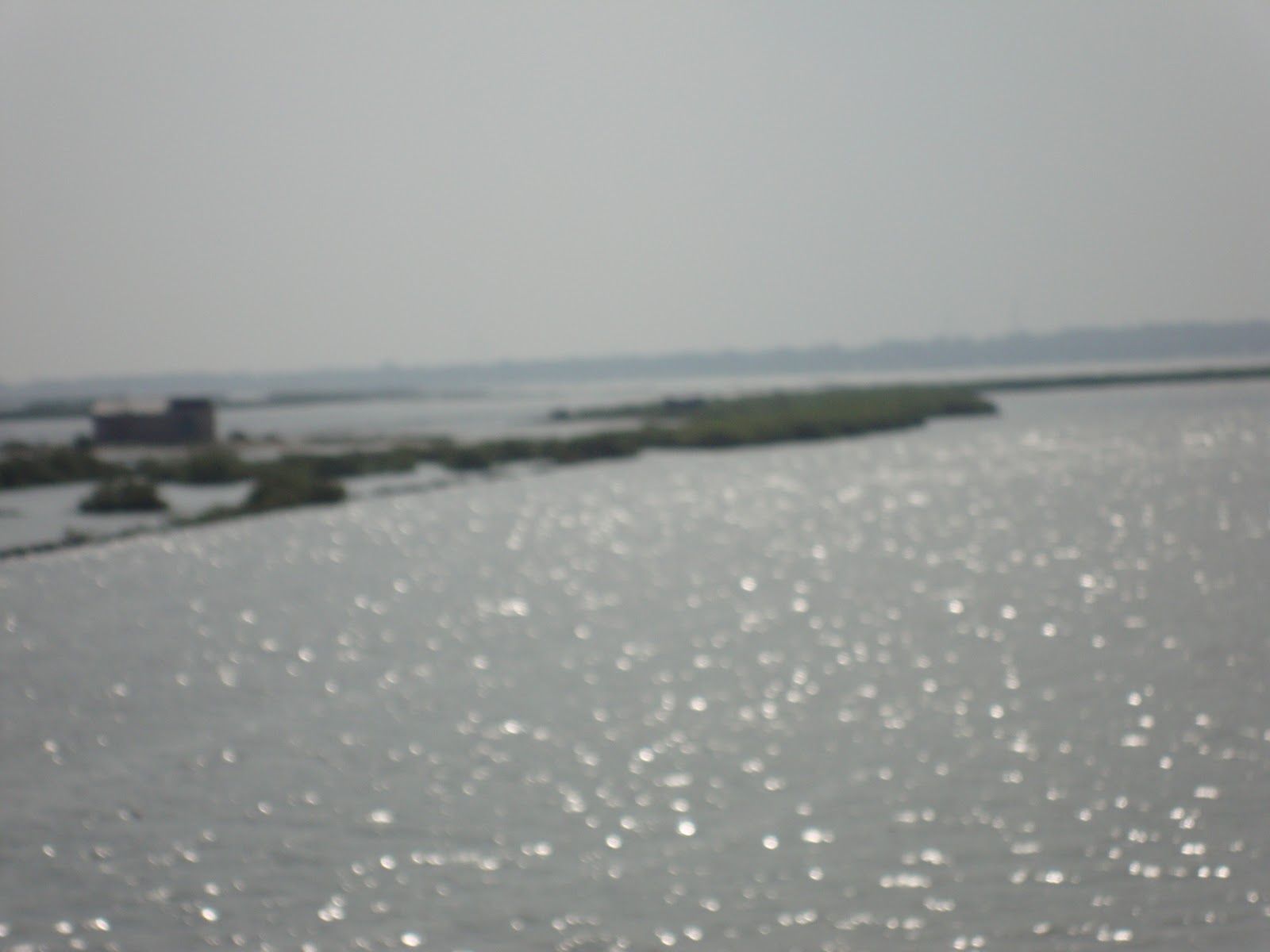 [DSC04606.JPG]