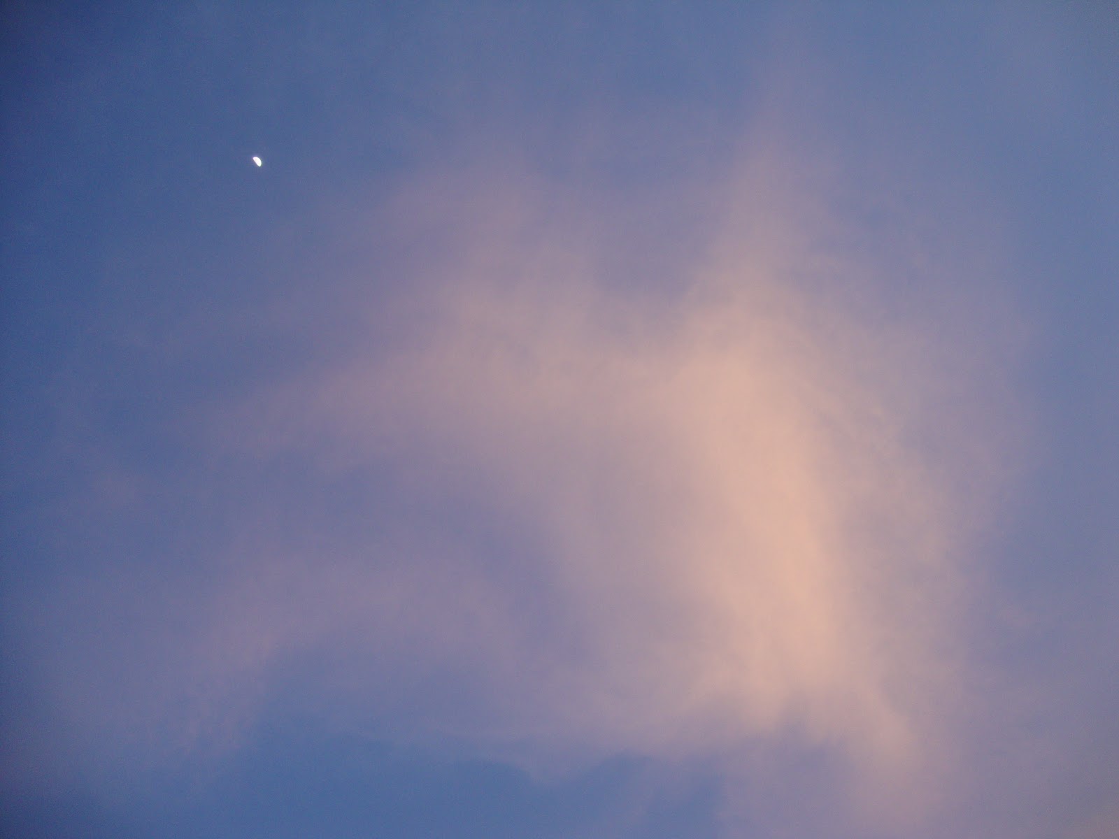 [DSC04618.JPG]