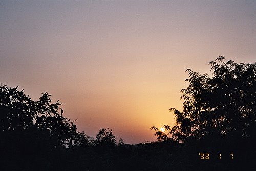 [skyy4.jpg]