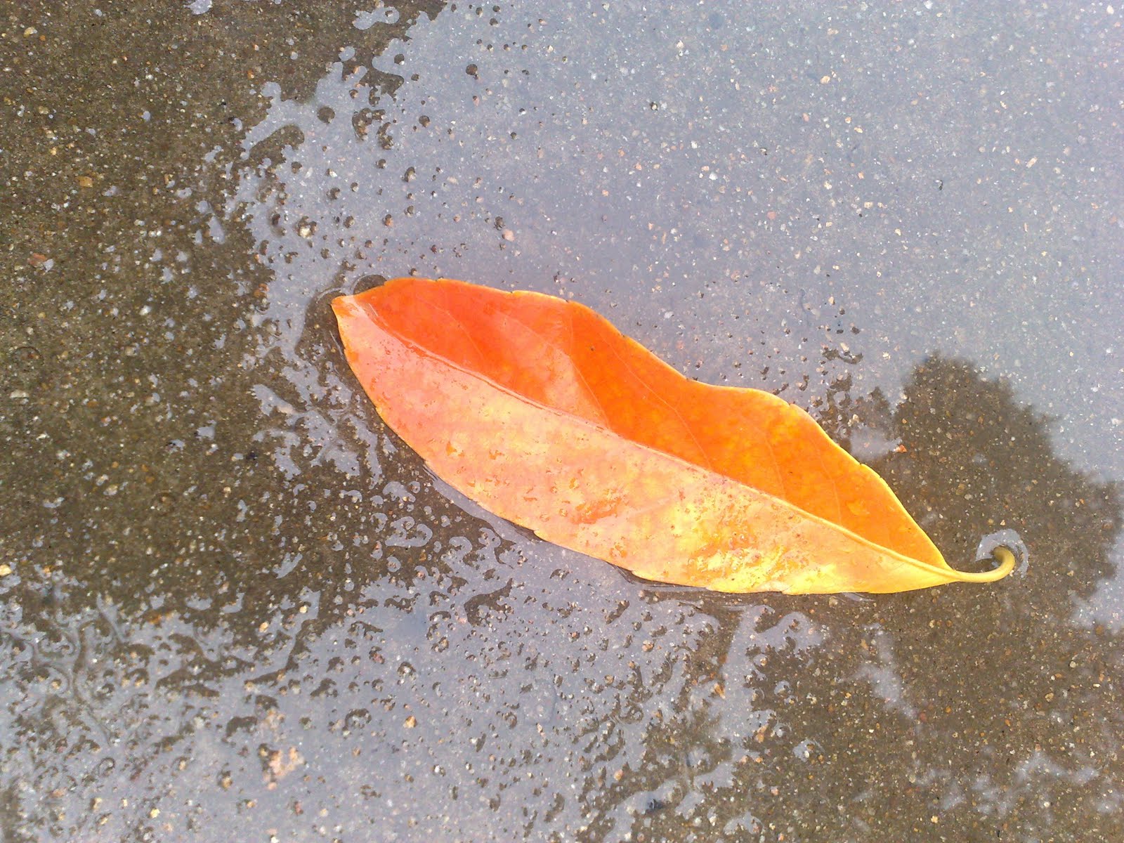 [010920093608.jpg]