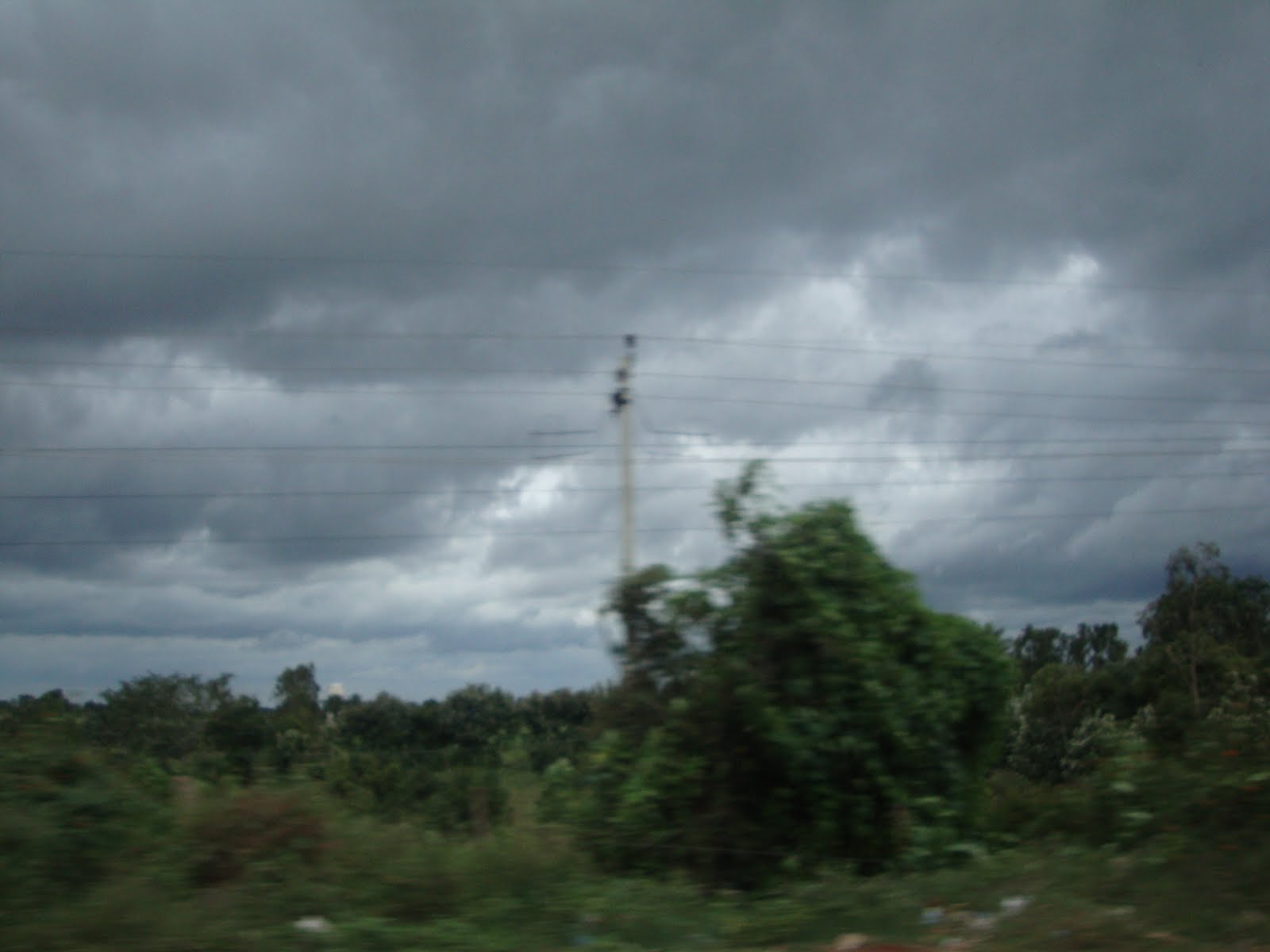[DSC03234.JPG]