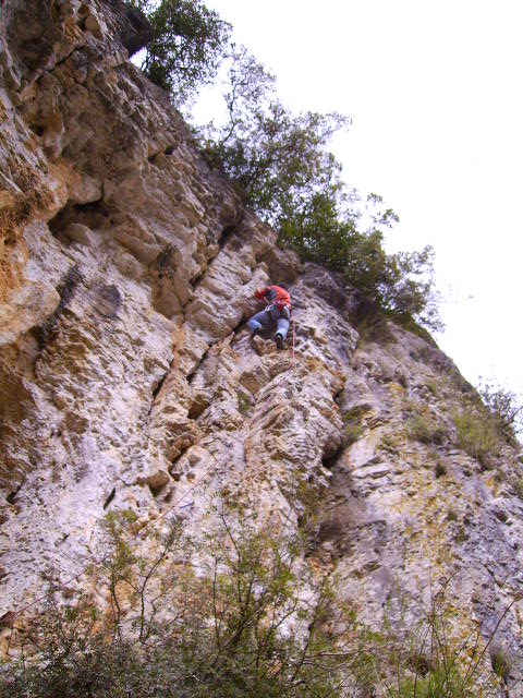 [PICT0790.JPG]