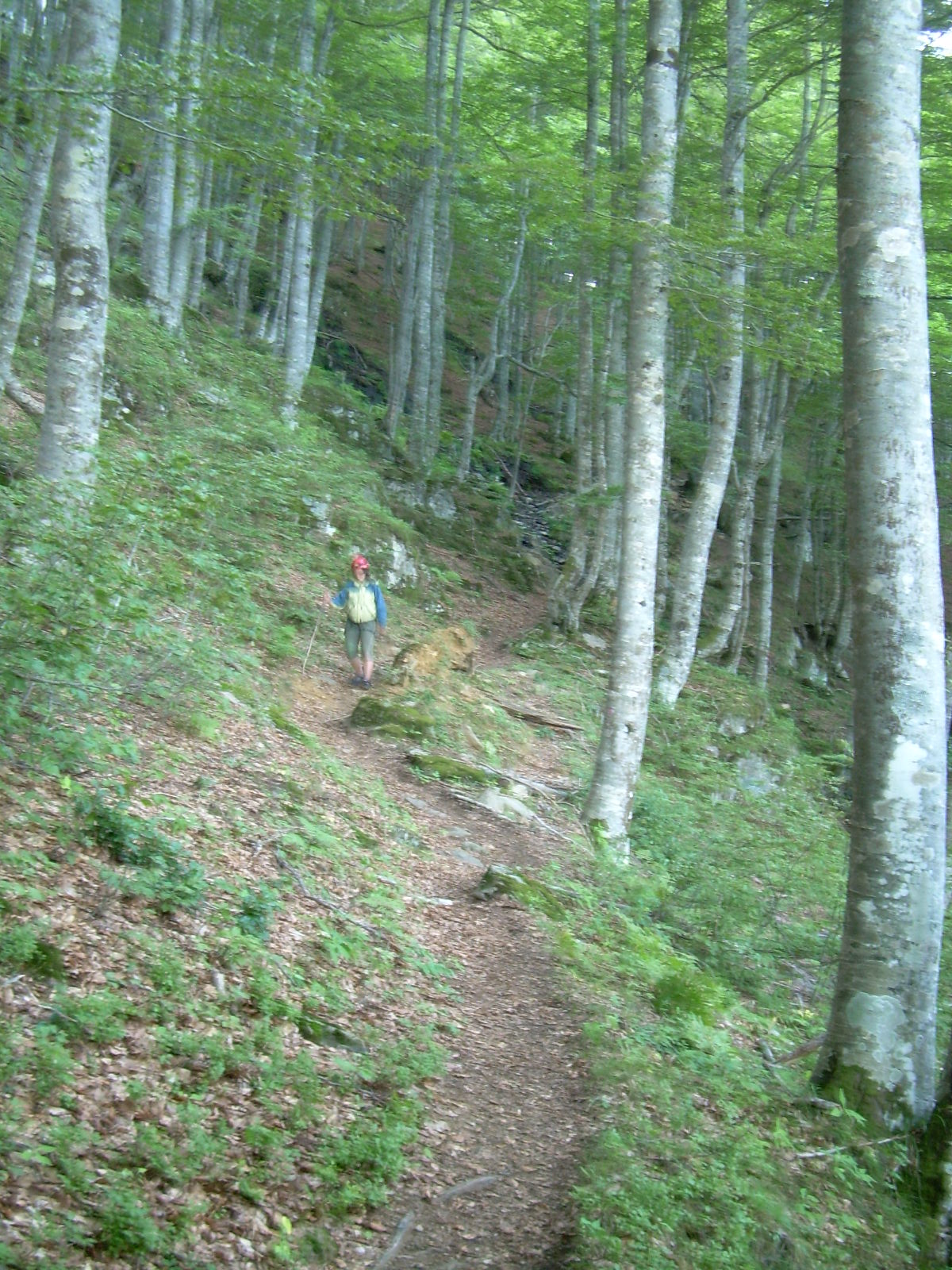 [DSCN5010.JPG]