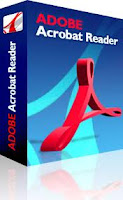 Download Adobe Reader 10.0.0.396 File Setup