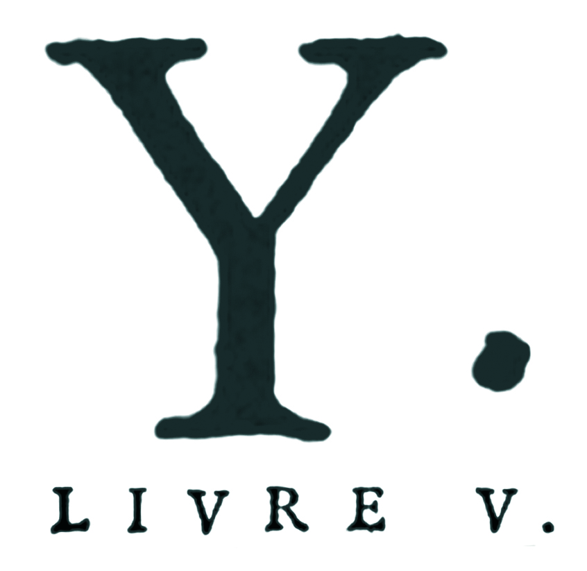 Y