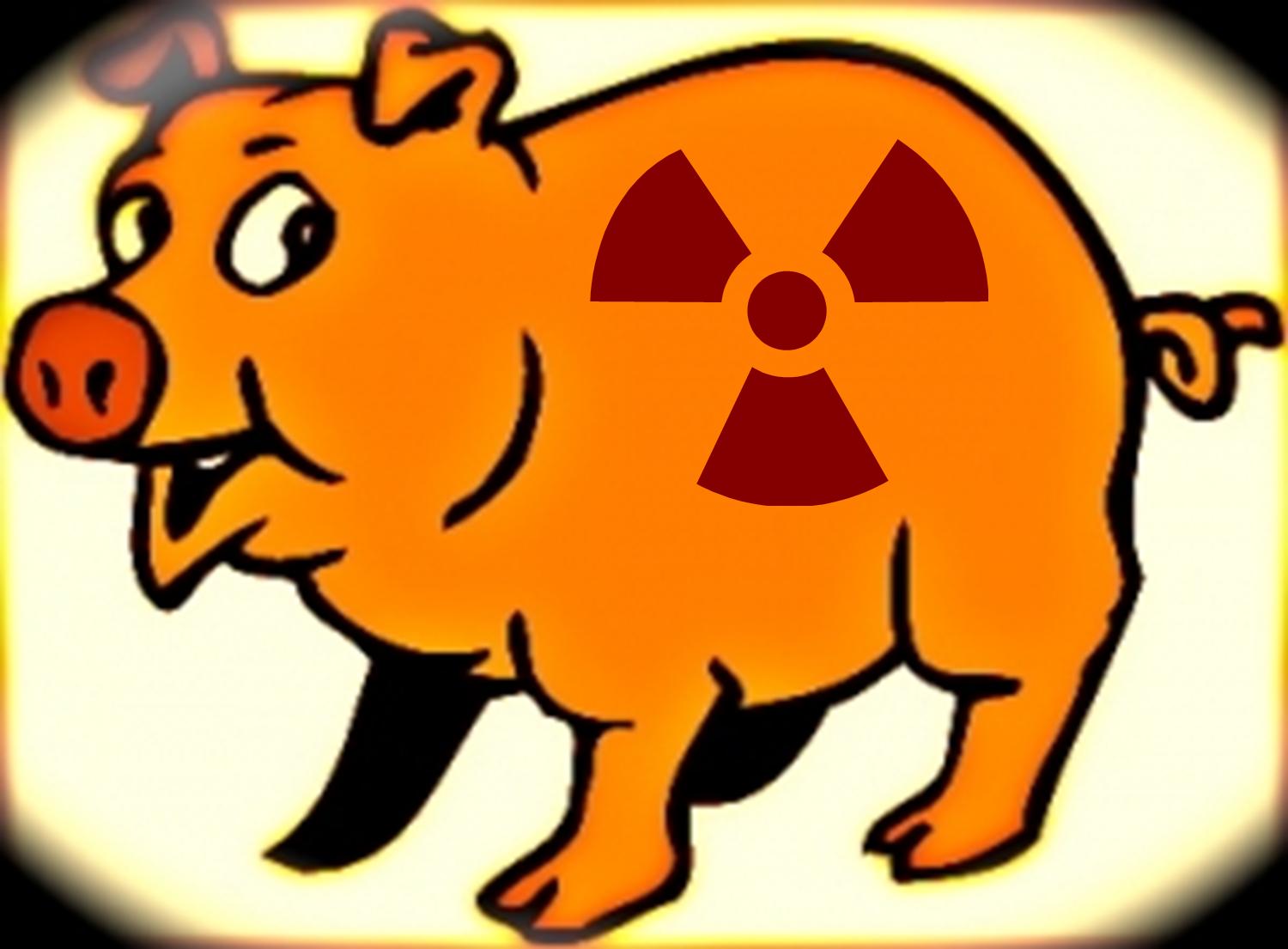 [nuclear+pig.htm]