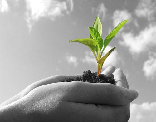 Agriculture : The Uses of