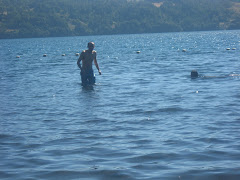 Lago Calafquen Coñaripe