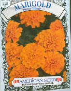 Marigold (Petite Orange)