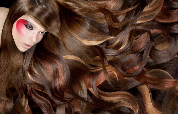 new year hair color in my professional opinion new year new you 2011 new year hair color in my professional opinion new year new you 2011