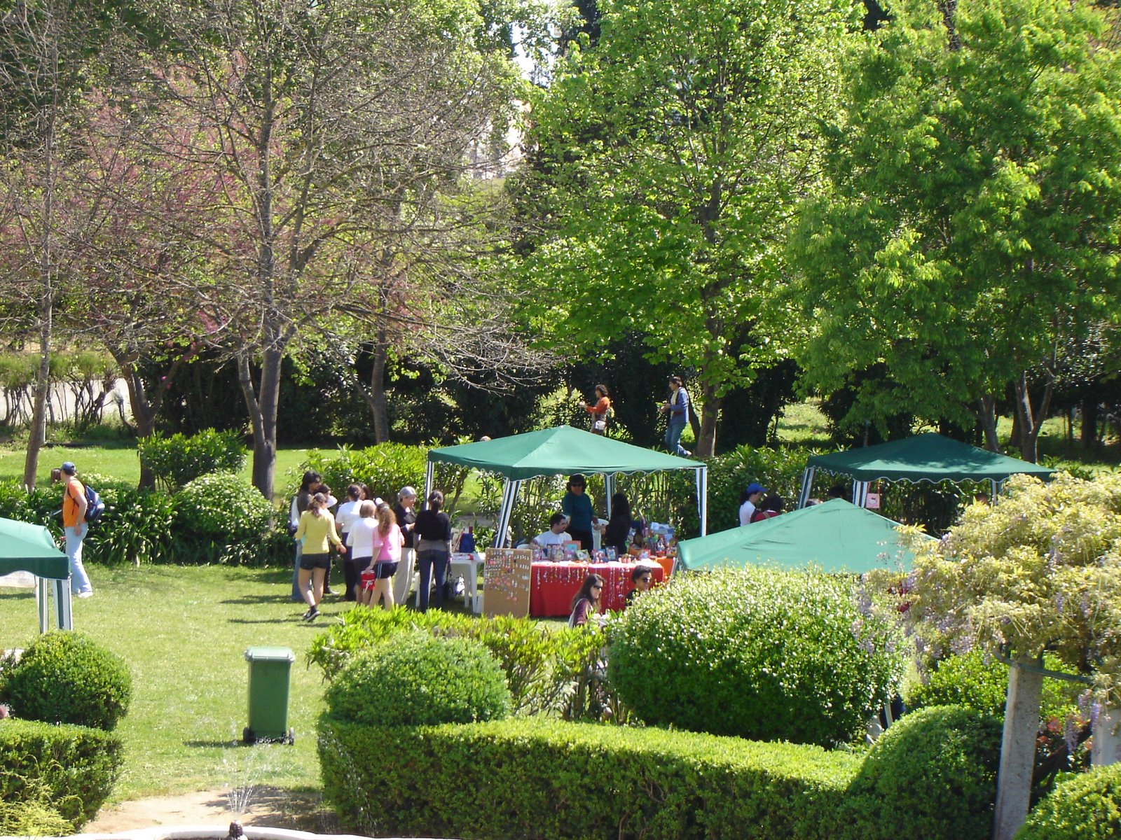 [DSC00175.JPG]