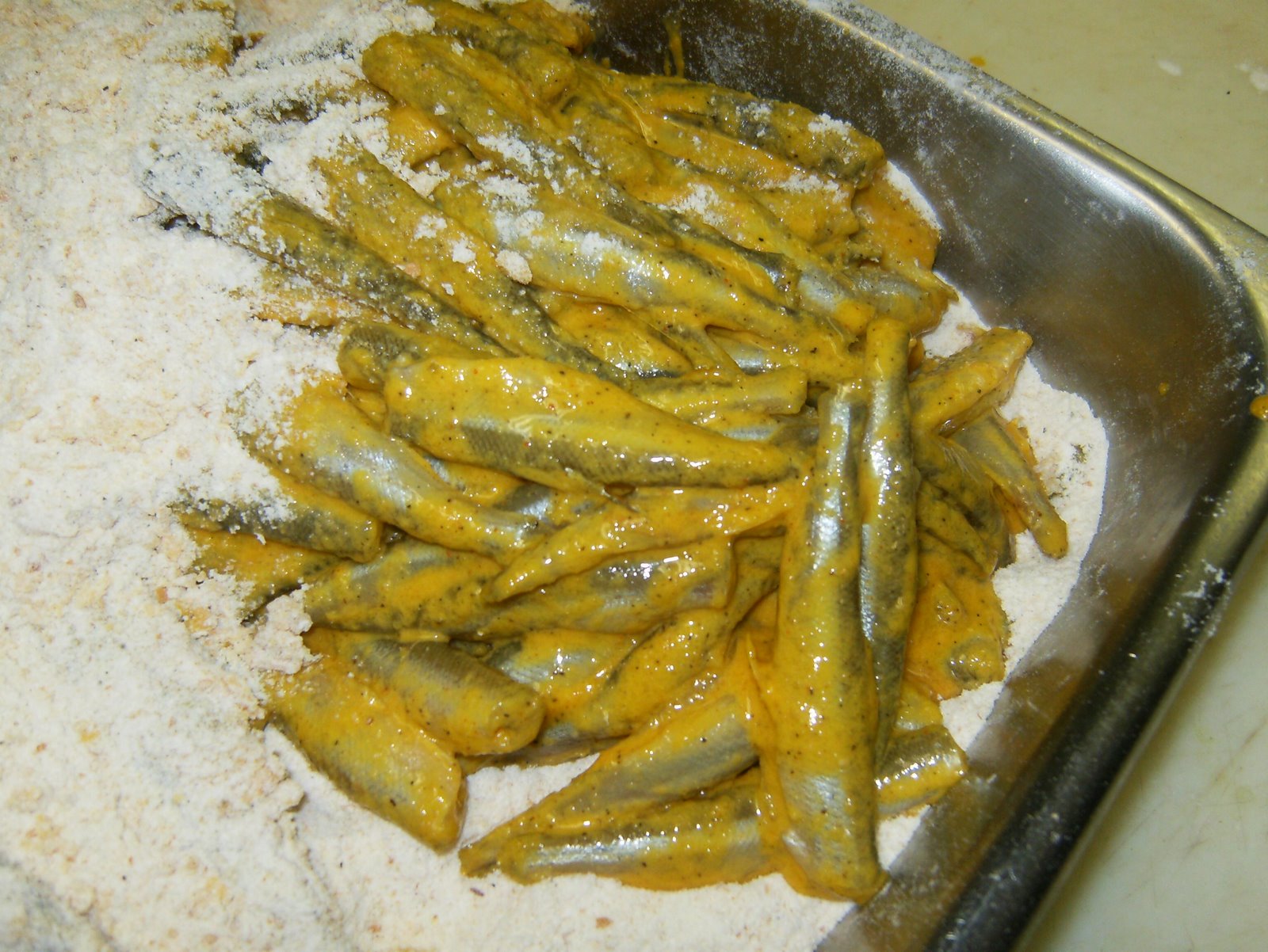 [HPIM0245.JPG]