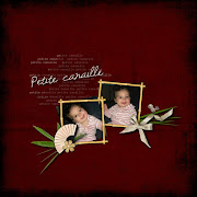  . fran ais fiche bd accord des adjectifs de couleur