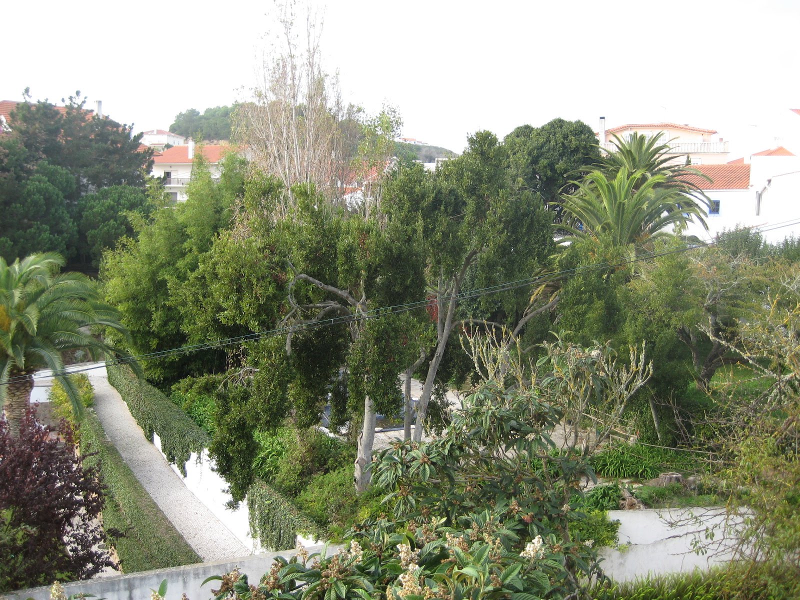 [IMG_1534.JPG]