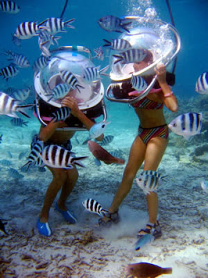 holiday tours