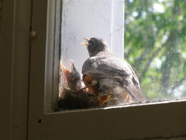 [P5100064+(Small).JPG]