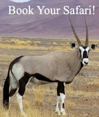 Safari Guides, Trophy Hunts,  and Adventures