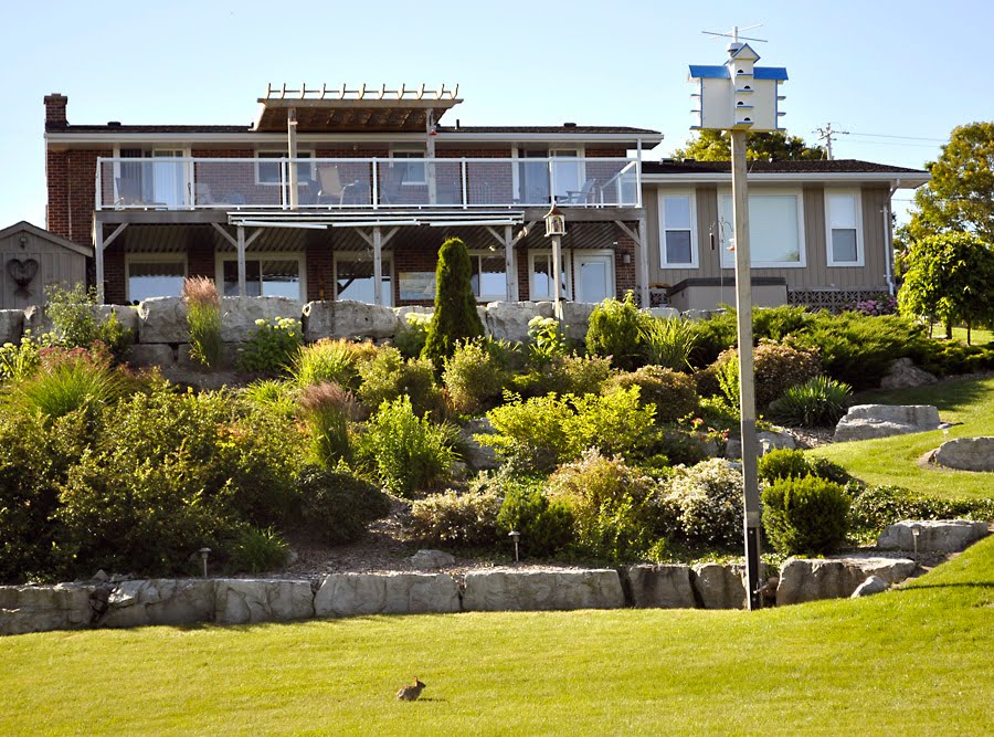 Tomatoes From Canada Kincardine cottages