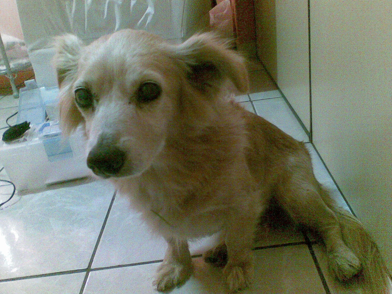 [19072008(003).jpg]