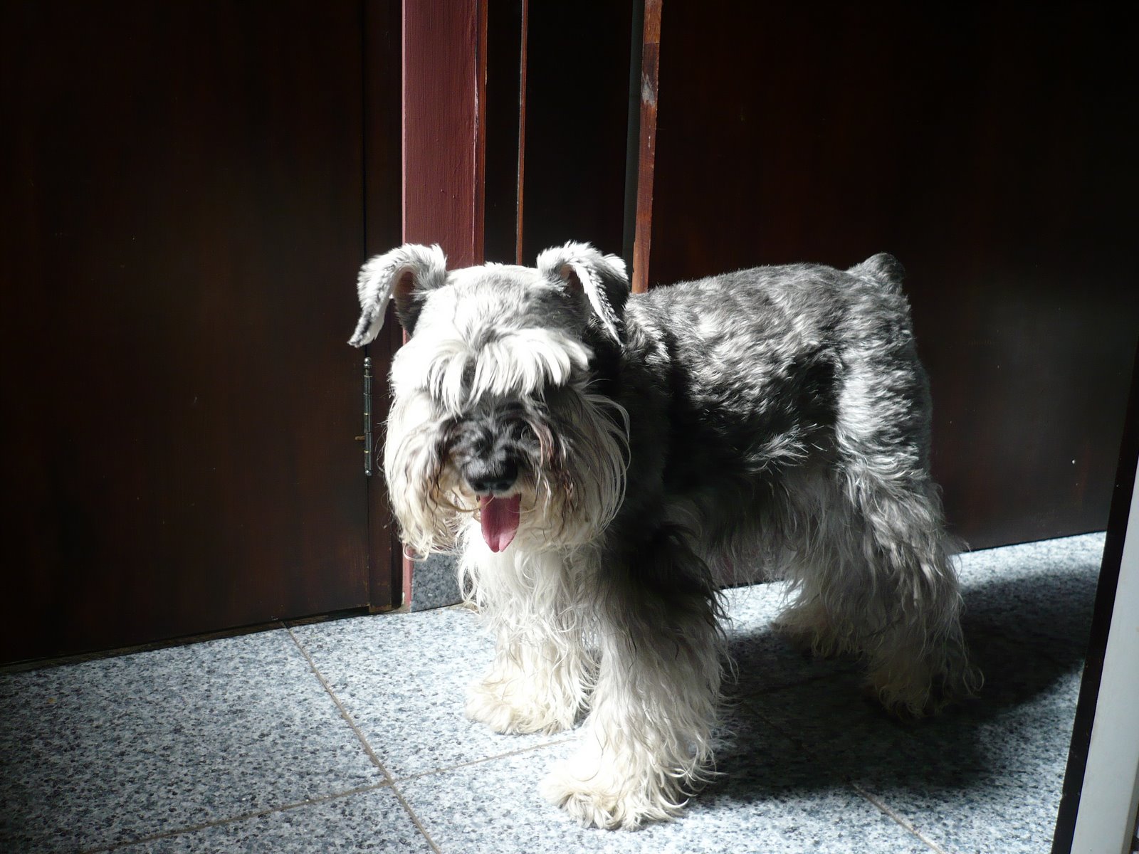 [P1000999.JPG]