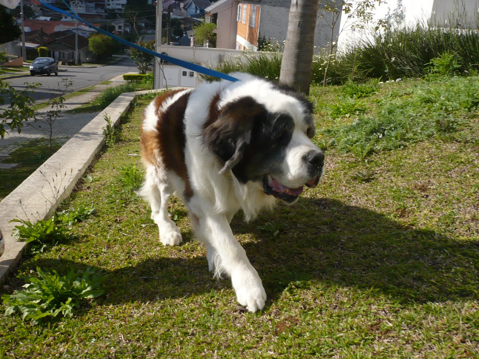[P1030243.JPG]