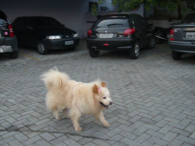 [P1030702.JPG]