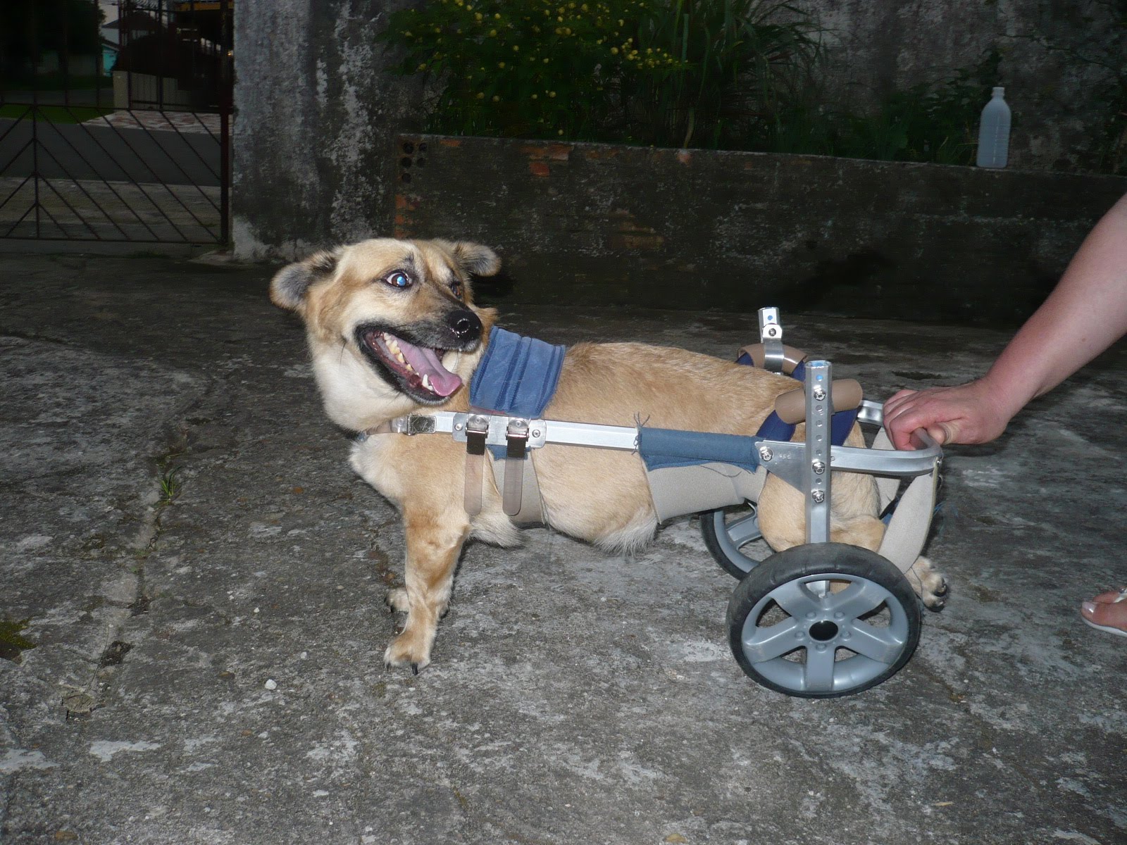 [P1030791.JPG]