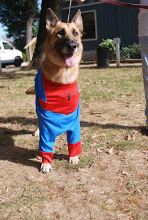 http://weblogs.baltimoresun.com/features/mutts/blog/Miles%2520as%2520Spiderman.jpg