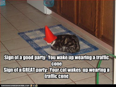 funny-pictures-cat-wears-cone-on-head.jpg