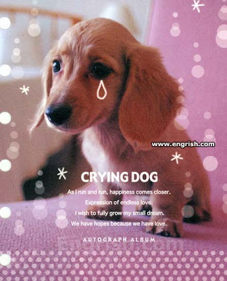 Dog crying sound