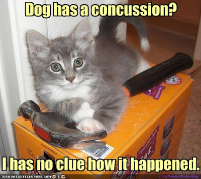 hairstyles sleep quotes funny. funny dog quotes. hairstyles sleep quotes funny.